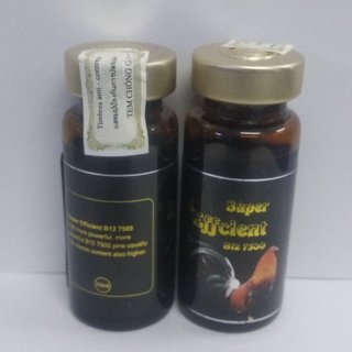 b12 7500 gà đá đỏ khỏe, bo khủng