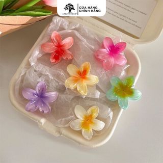 Kẹp Tóc Hoa Sứ Arganmidas Nữ Tính (Màu ngẫu nhiên)