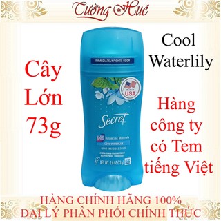 Lăn Sáp Khử Mùi Nữ Secret pH Balanced 24Hr Invisible Solid - 59g/73g ( Có lựa chọn )