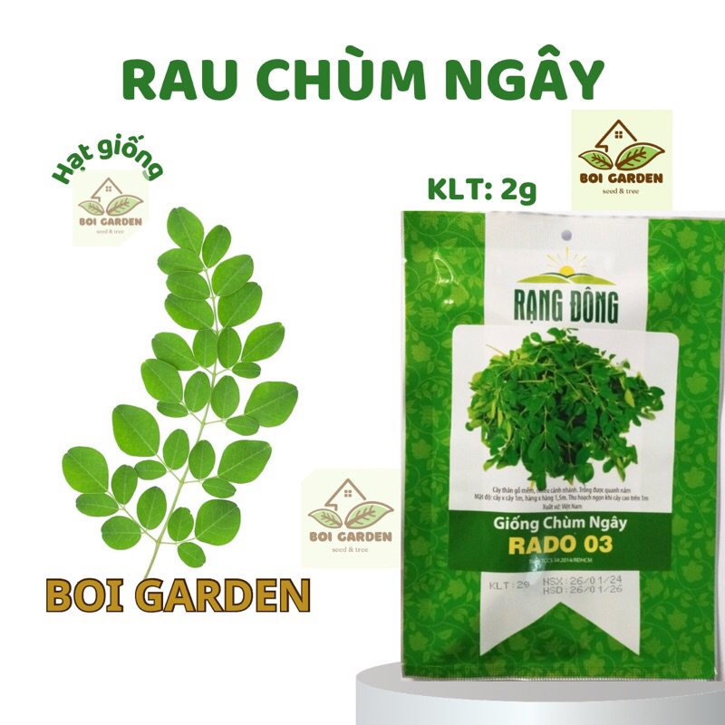 Hạt giống rau CHÙM NGÂY 2g (182)