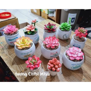 Chậu hoa sen đá size 7cm-8cm bằng đất sét Nhật tự khô cao cấp