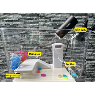  Combo bể nuôi rùa combo hộp nuôi đầy đủ bể lọc thác đèn sưởi máng leo cây trang trí 