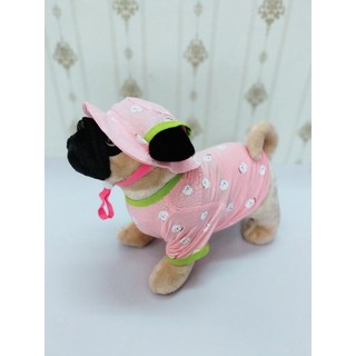 Combo Áo + Nón cho Chó Mèo, vải thun cotton