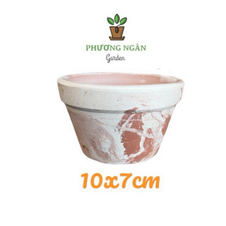 Chậu đất nung 10x7cm