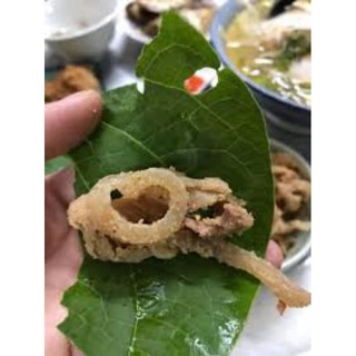 3 cây dổi rau ăn lá gia vị
