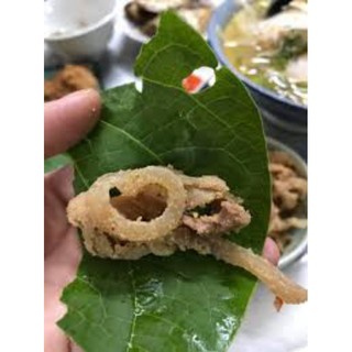 3 cây dổi rau ăn lá gia vị