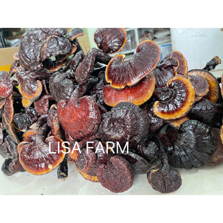 Nấm lim xanh thái lát 100g