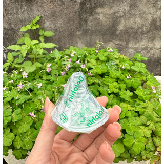 Núm ty siêu mềm cổ rộng Dolphin