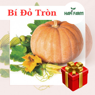 Hạt giống bí đỏ tròn f1 gói 2gr dễ trồng