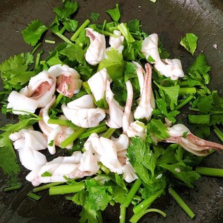 Hạt Giống Rau Cần Tây(Combo 3 Gói) - Rau Ăn Sống, Ép Nước, Xào Nấu Đều Ngon TR24
