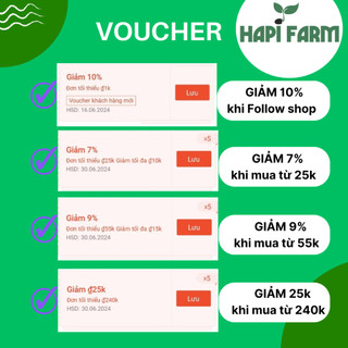 Hạt Giống Rau Cần Tây(Combo 3 Gói) - Rau Ăn Sống, Ép Nước, Xào Nấu Đều Ngon TR24