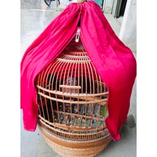 Áo lồng chim cu gáy đỏ đô sz tròn 38 vừa các loại lồng gáy