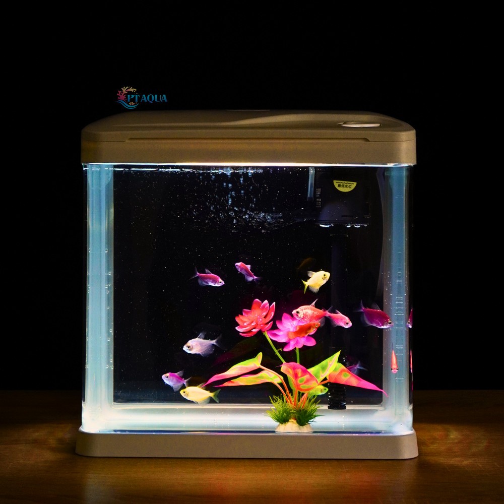 Bể Cá Kính Đúc 30cm tích hợp LỌC và ĐÈN , Dài 30cm Rộng 19.5cm Cao 32cm