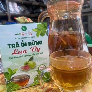TRÀ ỔI RỪNG LỤA VY – THANH LỌC CƠ THỂ, GIẢM MỠ, GIỮ DÁNG! dạng hộp