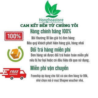 TRÀ ỔI RỪNG LỤA VY – THANH LỌC CƠ THỂ, GIẢM MỠ, GIỮ DÁNG! dạng hộp