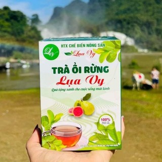 TRÀ ỔI RỪNG LỤA VY – THANH LỌC CƠ THỂ, GIẢM MỠ, GIỮ DÁNG! dạng hộp