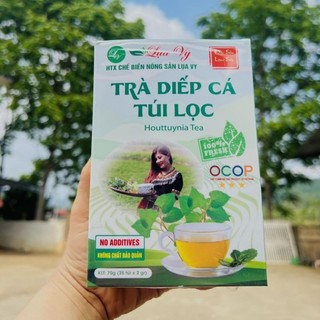 TRÀ DIẾP CÁ LỤA VY – THANH NHIỆT, GIẢI ĐỘC, MÁT GAN! ( Trà túi lọc 35 gói)