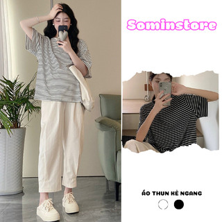 Áo thun nữ baby tee cotton kẻ sọc ngắn tay cổ tròn chất vải co dãn sominstore
