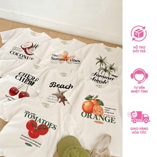 BUDDIES | Summer Tee 1 | Áo thun babytee in hình Summer no1