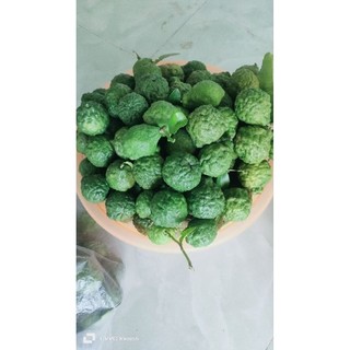 Trái Chúc. 1kg. Trái chanh thái.hàng tươi mới