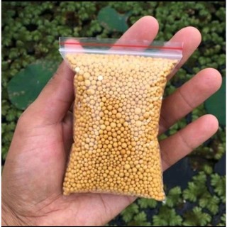 phân bón tan chậm chuyên dùng cho sen đá