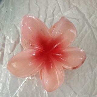 Kẹp hoa sứ loại 7-8cm