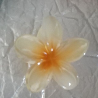 Kẹp hoa sứ loại 7-8cm