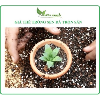 (1kg) Đất trồng xương rồng, sen đá, ươm cây con, giâm cành,... (mua nhiều shop đóng chung 1 túi)