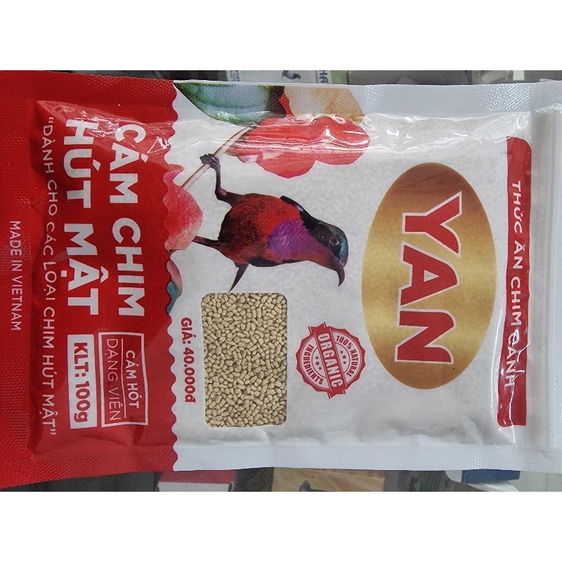 Cám Cám chim hút mật Yan