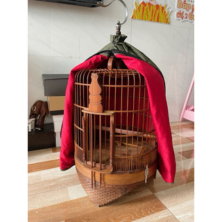 Áo lồng hoạ mi