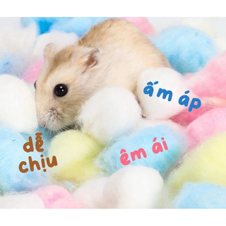 Nệm bông gòn Candy dùng lót ổ ngủ cho hamster
