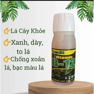 Phân Vi Lượng Vitamin B-12, Hạn chế xoắn lá, bạc màu lá