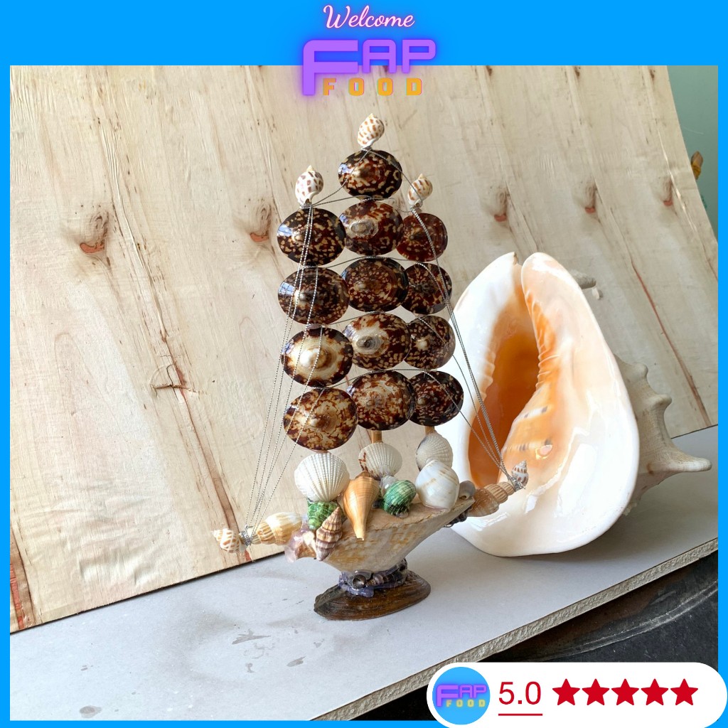 THUYỀN BƯỜM ĐEN TRANG TRÍ CON LƯ VỎ SÒ VỎ ỐC BIỂN, THUYỀN MỸ NGHỆ DECOR TRANG TRÍ