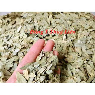 LÁ PHAN TẢ DIỆP khô loại 1 (mới, sạch, đẹp) [500g]