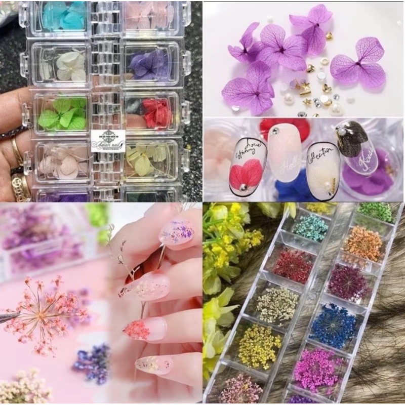 Hoa khô trang trí móng khay 12 màu