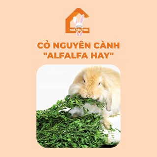 Cỏ nguyên cành "Alfalfa Hay" SR10 thức ăn cho thỏ, bọ, chinchilla....