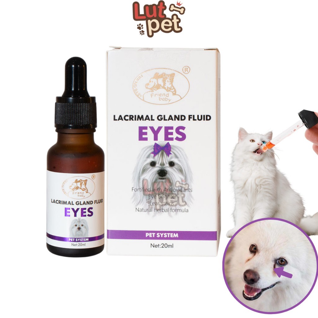 Siro Lacrimal Gland Fluid EYES loại bỏ chảy nước mắt - ghèn mắt chó mèo