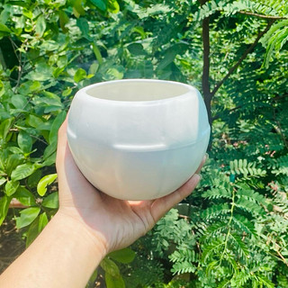 [XẢ KHO] Chậu Gốm Khía Kiểu (Có Nhiều Màu)
