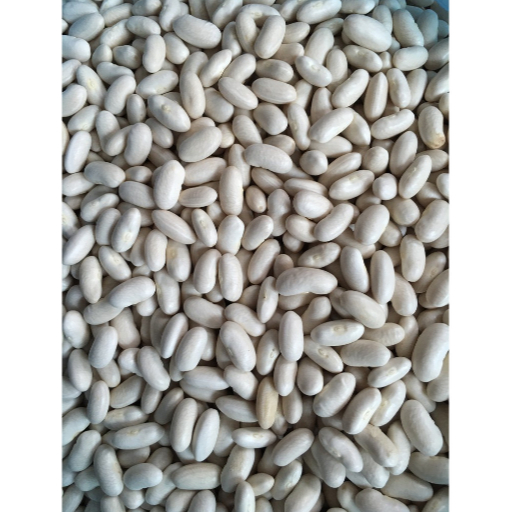 Đậu/ đỗ trắng