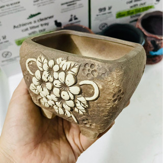 [CÓ SHIP TỈNH] Chậu Gốm Sơn Giả Cổ