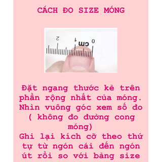 NAILBOX CHUCHU . NAILBOX DỄ THƯƠNG