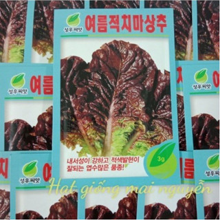 3000 Hạt giống xà lách đỏ Jima Sangchu Mùa hè_Chịu nhiệt nảy 99%