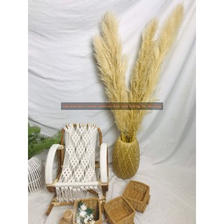Cỏ Lau/ Cành Lau Khô Cao Cấp Loại Cao Từ 100cm - 120cm, Trang Trí, Đạo Cụ Chụp Hình, Có Ảnh Thật