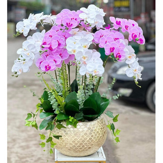 Hoàn Hoa Lụa_Lan Hồ Điệp 9 Bông Cao Su Thân Đốm Hàng LOẠI 1 Cao Cấp, Phù Hợp Với Mọi Không Gian Nhà Cửa