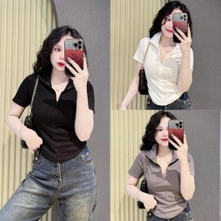 Áo Thun Nữ Vạt Bầu Kéo Khóa Cổ Bẻ, Áo Thun Tay Ngắn Siêu Basic Thời Trang Nữ siêu xinh A09
