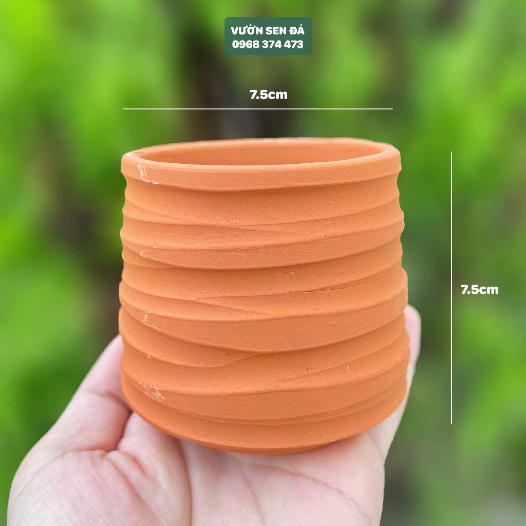 Chậu đất nung cúp miệng 7.5x7.5cm - Chậu sọc