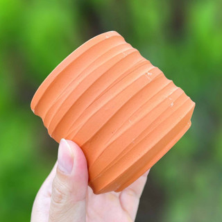 Chậu đất nung cúp miệng 7.5x7.5cm - Chậu sọc