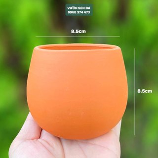 Chậu đất nung hạt dẻ 8.5x8.5cm - chậu trơn