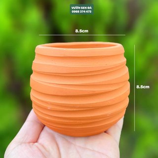 Chậu đất nung hạt dẻ 8.5x8.5cm - chậu sọc