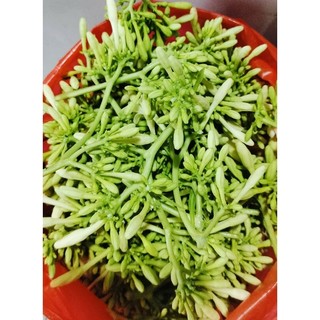 #1kg  Hoa ĐU ĐỦ ĐỰC